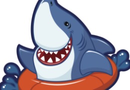 食品原料小百科：硫酸軟骨素可以用在什么地方？