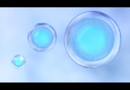 銀耳多糖（TFPS）在抗光老化中的應用研究（下）